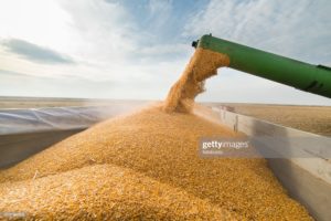 transporte de grãos no Brasil