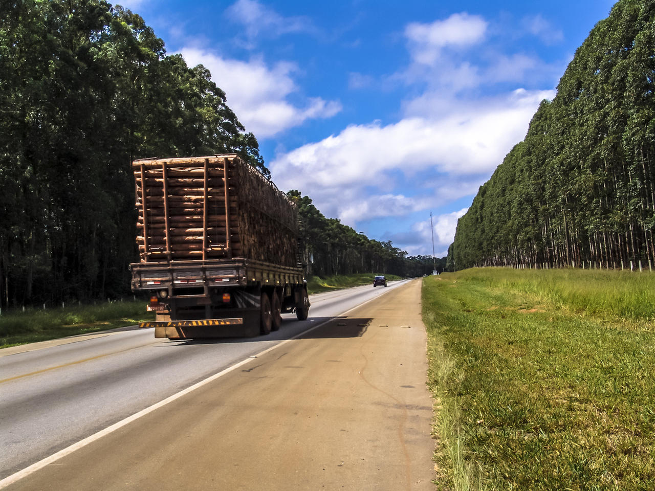 Caminhão de transporte de madeira na estrada.